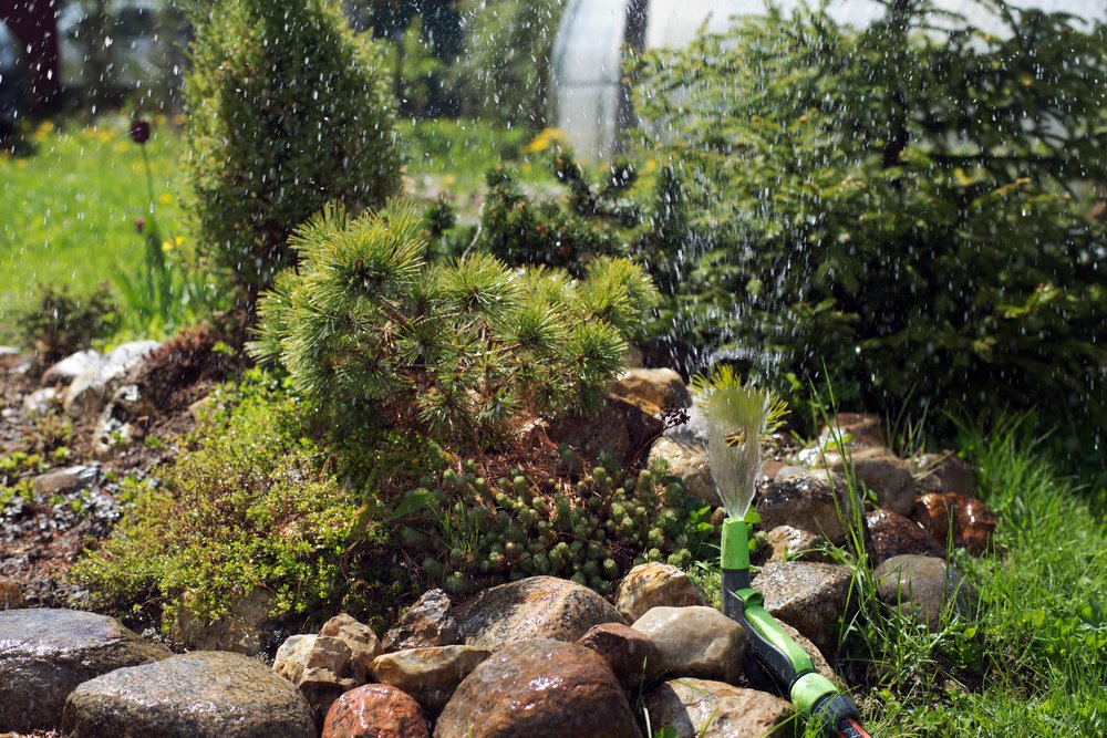 Сад из камней своими руками: фото красивых композиций + пошаговый мастер-класс